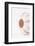 So Pure Collection - Natural Seashell-Philippe Hugonnard-Framed Photographic Print
