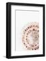 So Pure Collection - Natural Swirl Sundial Sea Shell-Philippe Hugonnard-Framed Photographic Print