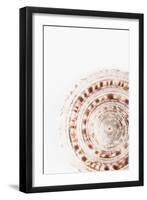 So Pure Collection - Natural Swirl Sundial Sea Shell-Philippe Hugonnard-Framed Photographic Print