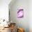 So Pure Collection - Pink Agate Heart-Philippe Hugonnard-Premium Photographic Print displayed on a wall