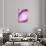 So Pure Collection - Pink Agate Heart-Philippe Hugonnard-Stretched Canvas displayed on a wall