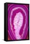 So Pure Collection - Pink Agate Slice-Philippe Hugonnard-Framed Stretched Canvas