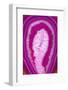 So Pure Collection - Pink Agate Slice-Philippe Hugonnard-Framed Photographic Print