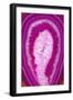 So Pure Collection - Pink Agate Slice-Philippe Hugonnard-Framed Photographic Print