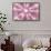 So Pure Collection - Pink Sea Urchin Shell Close-up-Philippe Hugonnard-Framed Stretched Canvas displayed on a wall