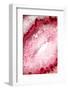 So Pure Collection - Red Agate Heart-Philippe Hugonnard-Framed Photographic Print