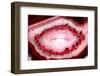 So Pure Collection - Red Agate Look-Philippe Hugonnard-Framed Photographic Print