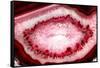 So Pure Collection - Red Agate Look-Philippe Hugonnard-Framed Stretched Canvas