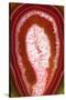 So Pure Collection - Red Agate Slice-Philippe Hugonnard-Stretched Canvas