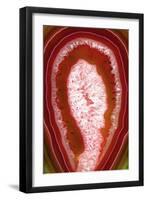 So Pure Collection - Red Agate Slice-Philippe Hugonnard-Framed Photographic Print