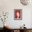 So Pure Collection - Red Agate Slice-Philippe Hugonnard-Framed Photographic Print displayed on a wall