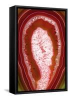 So Pure Collection - Red Agate Slice-Philippe Hugonnard-Framed Stretched Canvas