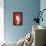 So Pure Collection - Red Agate Slice-Philippe Hugonnard-Framed Stretched Canvas displayed on a wall