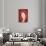 So Pure Collection - Red Agate Slice-Philippe Hugonnard-Photographic Print displayed on a wall