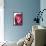 So Pure Collection - Red Agate-Philippe Hugonnard-Framed Stretched Canvas displayed on a wall