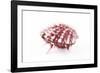 So Pure Collection - Red Spondylus Seashell-Philippe Hugonnard-Framed Photographic Print