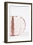 So Pure Collection - Seashell II-Philippe Hugonnard-Framed Photographic Print