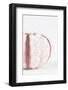 So Pure Collection - Seashell II-Philippe Hugonnard-Framed Photographic Print