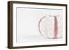 So Pure Collection - Seashell-Philippe Hugonnard-Framed Photographic Print