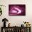 So Pure Collection - Slice of Pink Agate-Philippe Hugonnard-Framed Stretched Canvas displayed on a wall