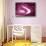 So Pure Collection - Slice of Pink Agate-Philippe Hugonnard-Stretched Canvas displayed on a wall