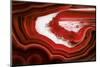 So Pure Collection - Slice of Red Agate-Philippe Hugonnard-Mounted Photographic Print