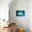 So Pure Collection - Slice of Turquoise Agate-Philippe Hugonnard-Stretched Canvas displayed on a wall