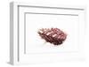 So Pure Collection - Spondylus Seashell-Philippe Hugonnard-Framed Photographic Print