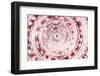 So Pure Collection - Sundial Shell Close-up II-Philippe Hugonnard-Framed Photographic Print