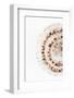 So Pure Collection - Sundial Shell II-Philippe Hugonnard-Framed Photographic Print