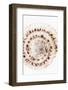 So Pure Collection - Sundial Shell IV-Philippe Hugonnard-Framed Photographic Print