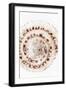 So Pure Collection - Sundial Shell IV-Philippe Hugonnard-Framed Photographic Print