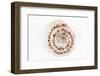 So Pure Collection - Sundial Shell-Philippe Hugonnard-Framed Photographic Print