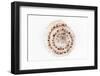 So Pure Collection - Sundial Shell-Philippe Hugonnard-Framed Photographic Print