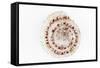 So Pure Collection - Sundial Shell-Philippe Hugonnard-Framed Stretched Canvas