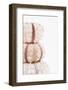 So Pure Collection - Tree White Sea Urchin shells II-Philippe Hugonnard-Framed Photographic Print