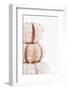 So Pure Collection - Tree White Sea Urchin shells II-Philippe Hugonnard-Framed Photographic Print