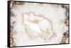 So Pure Collection - White Agate-Philippe Hugonnard-Framed Stretched Canvas