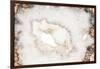 So Pure Collection - White Agate-Philippe Hugonnard-Framed Photographic Print