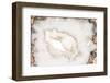 So Pure Collection - White Agate-Philippe Hugonnard-Framed Premium Photographic Print