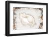 So Pure Collection - White Agate-Philippe Hugonnard-Framed Premium Photographic Print