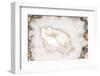 So Pure Collection - White Agate-Philippe Hugonnard-Framed Premium Photographic Print