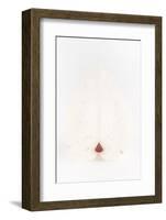 So Pure Collection - White Heart Cockle II-Philippe Hugonnard-Framed Photographic Print