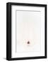 So Pure Collection - White Heart Cockle II-Philippe Hugonnard-Framed Photographic Print