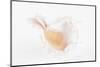 So Pure Collection - White Murex Seashell-Philippe Hugonnard-Mounted Photographic Print