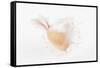 So Pure Collection - White Murex Seashell-Philippe Hugonnard-Framed Stretched Canvas