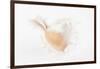 So Pure Collection - White Murex Seashell-Philippe Hugonnard-Framed Photographic Print