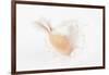 So Pure Collection - White Murex Seashell-Philippe Hugonnard-Framed Photographic Print