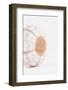 So Pure Collection - White Sea Urchin shell II-Philippe Hugonnard-Framed Photographic Print