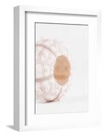 So Pure Collection - White Sea Urchin shell II-Philippe Hugonnard-Framed Photographic Print